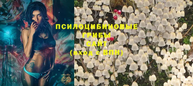 Галлюциногенные грибы MAGIC MUSHROOMS  Полярный 